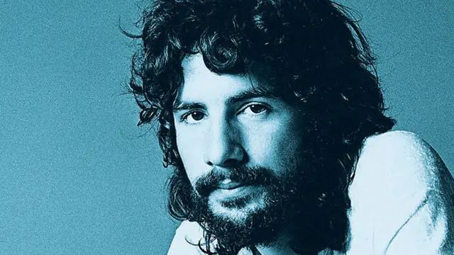 Cat Stevens