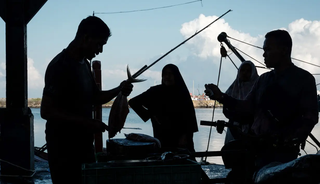 Menurut para pedagang, kemungkinan pada pekan depan harga ikan di Banda Aceh akan kembali normal, seiring kembali para nelayan melaut. (Yasuyoshi CHIBA/AFP)