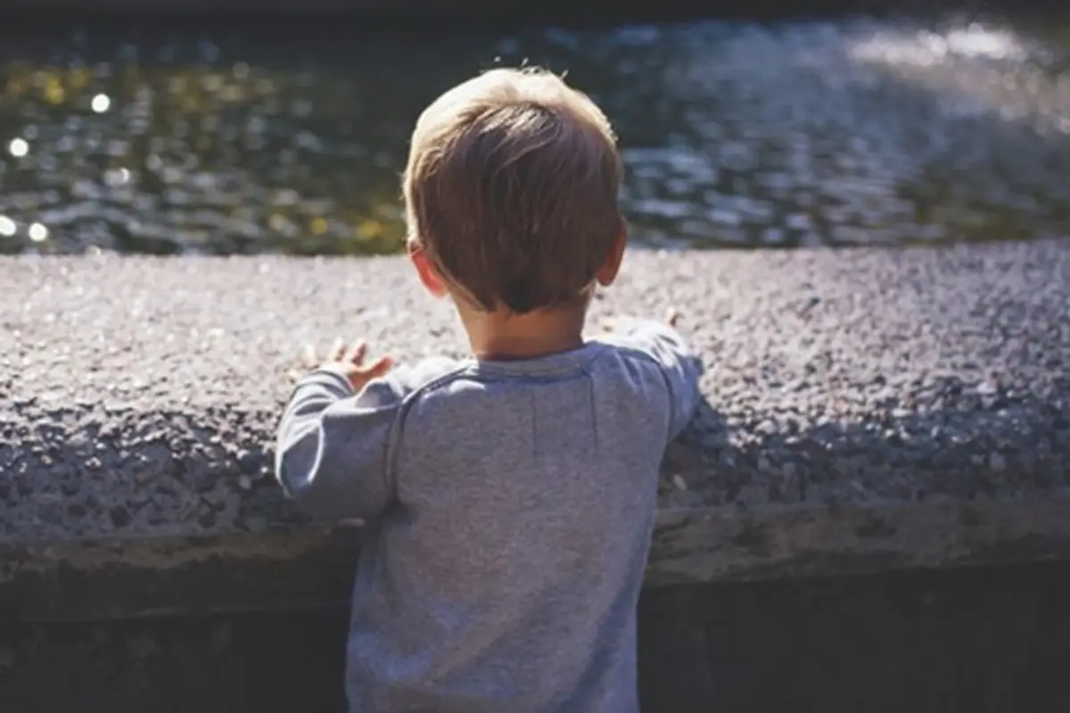 Foto: copyright freestocks.org