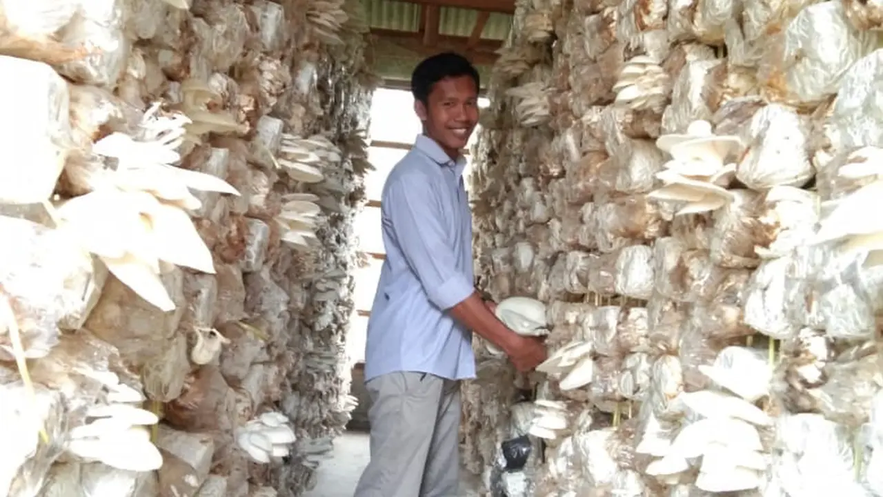 Hasilkan Untung Puluhan Juta, Petani Milenial Asal Simalungun Ajak Generasi Muda Terjun ke Pertanian