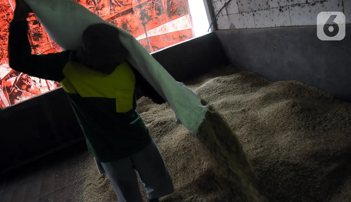 Selain masalah harga, kendala terjadi karena anomali musim yang mengurangi produksi padi. (merdeka.com/Imam Buhori)