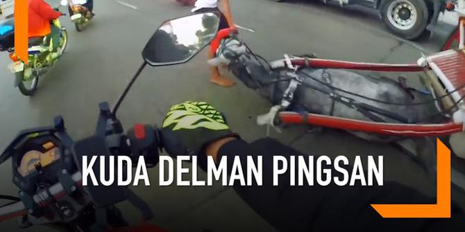 VIDEO: Kelelahan, Kuda Delman Pingsan di Jalan