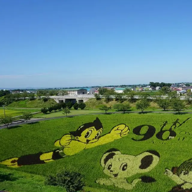 Uniknya Tanbo Art, Seni Melukis Sawah Ala Masyarakat Jepang