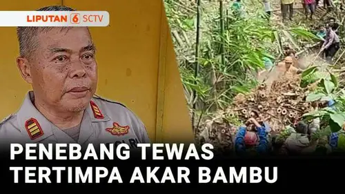 VIDEO: Warga Magelang Tewas Tertimpa Bongkahan Akar Bambu, Evakuasi Dramatis