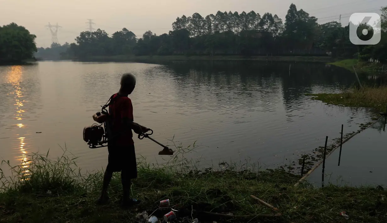 Warga memotong rumput di situ Sawangan di kawasan Sawangan, Depok, Jawa Barat, Kamis (27/7/2023). (Liputan6.com/Herman Zakharia)