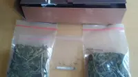 Nekat Jual Ganja di Instagram, Pemuda 20 Tahun Ditangkap Polisi