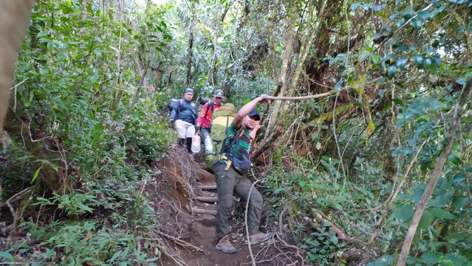 Dengan jalur yang terjal, trek pendakian Puncak Sagara, Garut, Jawa Barat, cukup menantang untuk ditaklukan para pendaki.(Liputan6.com/Jayadi Supriadin)