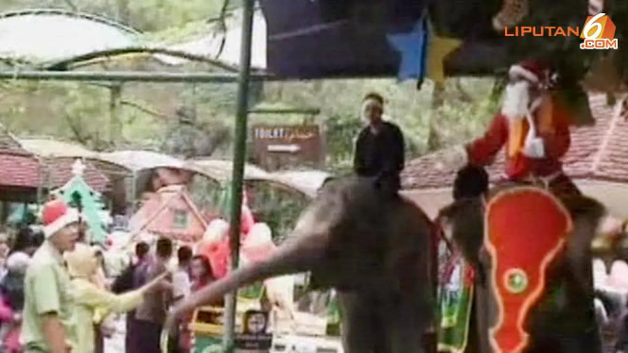 santa-gajah-131225a.jpg