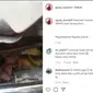 Yamaha NMax Ini Malah Jadi Sarang Tikus (Instagram)