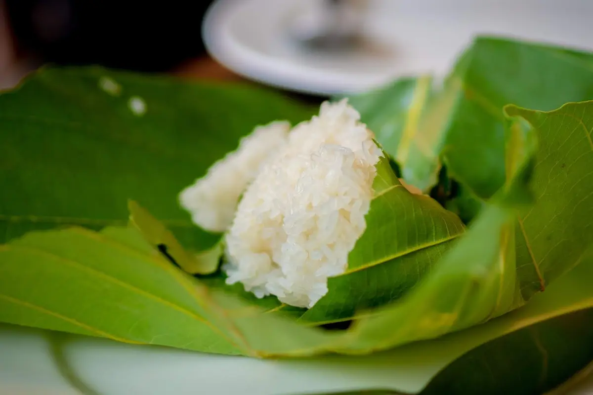 daun jati
