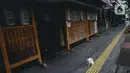 Seekor kucing terlihat di depan restoran yang tutup di kawasan little Tokyo, Blok M, Jakarta, Rabu (21/7/2021). Pemerintah resmi menetapkan pemberlakuan pembatasan kegiatan masyarakat (PPKM) level 4 hingga 25 Juli mendatang untuk mencegah penyebaran virus Covid-19. (Liputan6.comn/Faizal Fanani)
