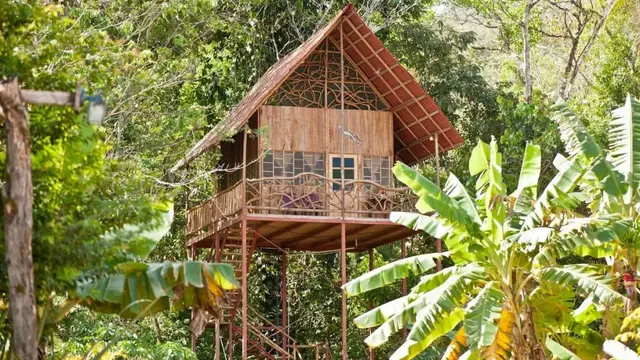 Berbaur dengan Alam, Ini 7 Rumah Pohon Terunik di Dunia