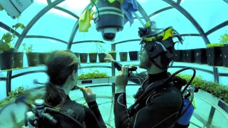 'Nemo Garden', Kebun Bawah Laut Pertama di Dunia