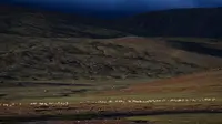Penambangan Litium untuk Produksi Baterai Mobil Listrik China Berpotensi Rusak Lingkungan Tibet