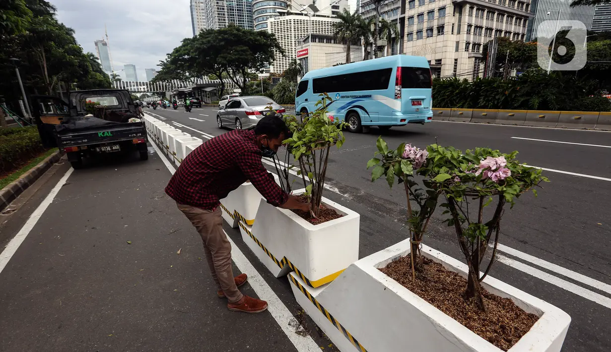 Pekerja menanam tanaman di dekat jalur sepeda permanen di jalan Sudirman, Jakarta, Rabu (24/2/2021). Pemprov DKI Jakarta mulai mempermanenkan jalur sepeda di Jalan Sudirman - Thamrin, Jakarta Pusat. (Liputan6.com/Johan Tallo)