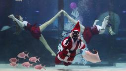 Penyelam mengenakan pakaian Sinterklas bersama dua wanita beraksi di Coex Aquarium, Seoul, Korea Selatan (4/12/2019). Sinterklas bersama ribuan ikan yang berada di akuarium tersebut menarik perhatian para pengunjung akuarium. (AP Photo/Ahn Young-joon)