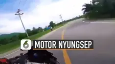 Ia menerobos rerumputan hingga akhirnya jatuh terperosok.