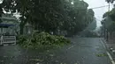 Sejumlah pohon tumbang menghalangi ruas Jalan Proklamasi, Menteng, Jakarta Pusat, Minggu (31/12). Hujan deras disertai angin kencang melanda Jakarta jelang malam pergantian tahun hingga membuat beberapa pohon bertumbangan. (Liputan6.com/Herman Zakharia)