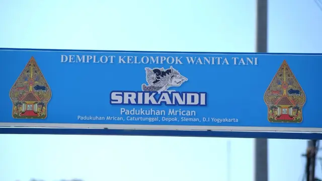 Intip Cerita BRInita Mrican Caturtunggal Depok, Bukti Sukses Urban Farming di Sleman Yogyakarta