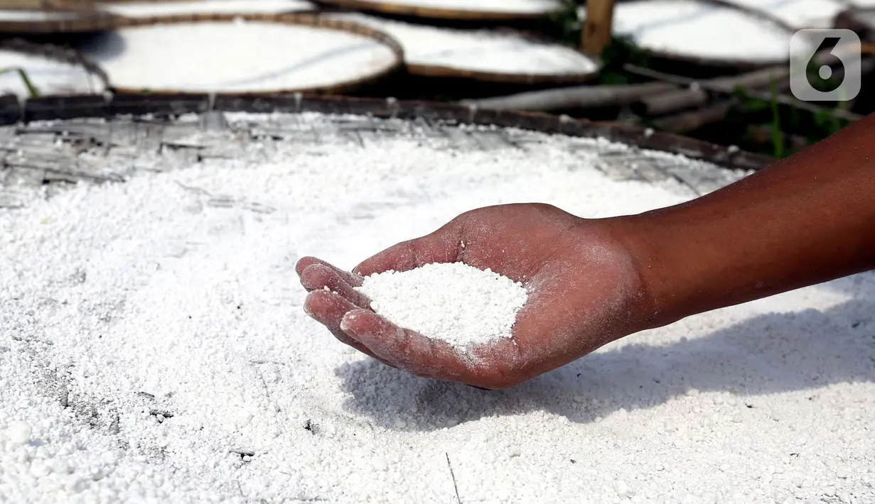 Pekerja menunjukkan tepung aci di Sukaraja, Kabupaten Bogor, Jawa Barat, minggu (20/6/2021). Pemerintah mengklaim hasil pelaksanaan program Pemulihan Ekonomi Nasional (PEN) klaster dukungan UMKM membantu mayoritas penerima manfaat dapat bertahan selama pandemi COVID-19. (Liputan6.com/Angga Yuniar)