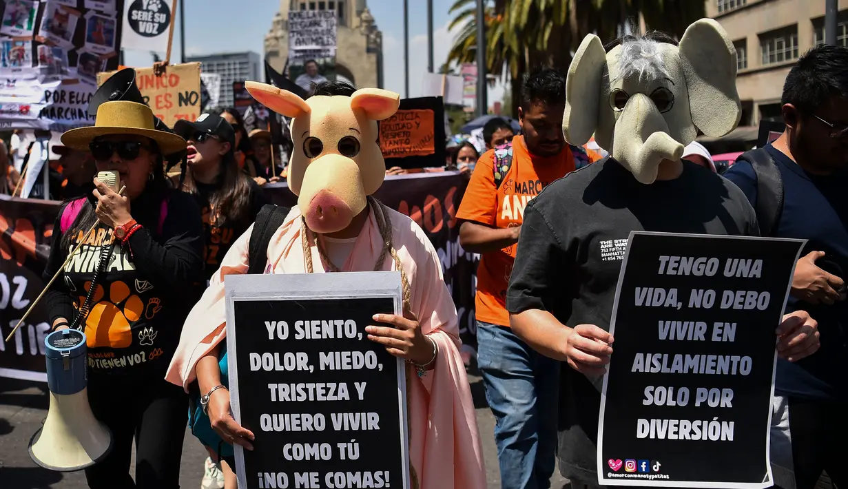 Mereka juga mengecam aksi kekejaman terhadap hewan. (Rodrigo Oropeza/AFP)