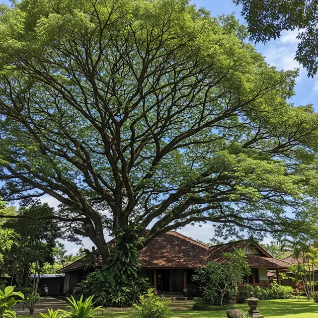 Jenis Pohon untuk Depan Rumah yang Bisa Membuat Udara Lebih Dingin saat Siang (Image by Gemini AI)