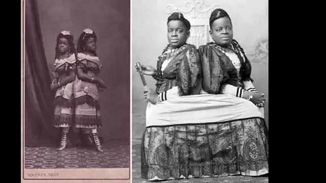 Foto: copyright oddee.com