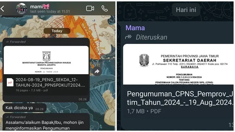 6 Chat Ibu Kirim Pengumuman CPNS ke Anak Ini Bikin Senyum Tipis