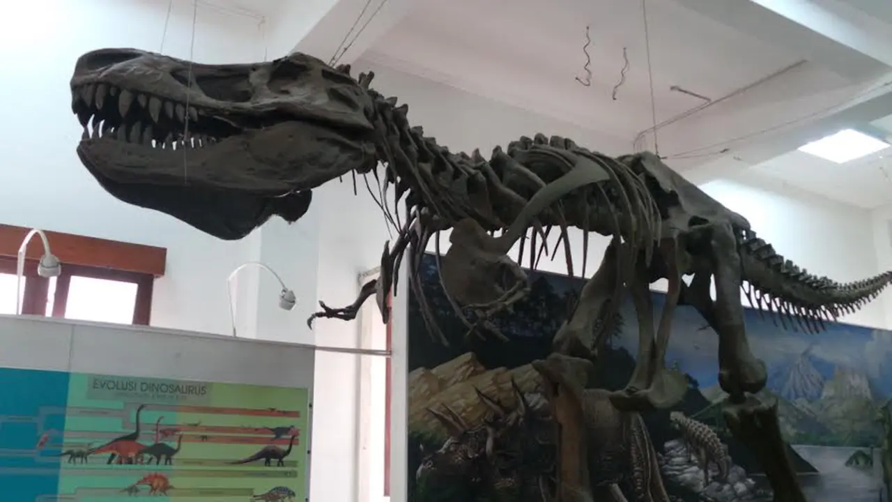 Rasakan Serunya 'Night At The Museum' ala Museum Geologi Bandung