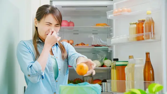 Cara Mengatasi Bau Tak Sedap Pada Kulkas