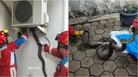 Evakuasi ular sanca yang sembunyi di outdoor AC rumah warga oleh damkar. (Sumber: TikTok/fikri_naufly)