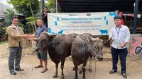 PT Amarta Karya (AMKA) melakukan penyembelihan hewan qurban dan menyalurkannya kepada yayasan yatim piatu yang ada di Kota Bekasi.