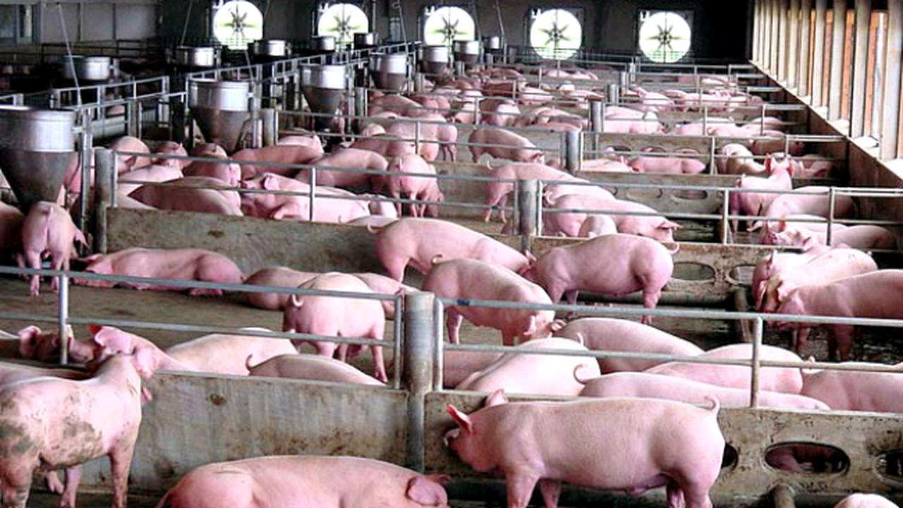 Astaga, Gen Ini Membuat Bakteri Kebal Terhadap Antibiotik