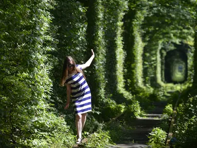 Seorang gadis berjalan di sepanjang bekas rel kereta api atau disebut 'Tunnel of Love' yang dikelilingi pohon dekat desa Ukraina Klevan, Rivno, (6/8). Terowongan cinta yang panjangnya sekitar lima km adalah fenomena botani. (AFP Photo/Sergei Supinsky)
