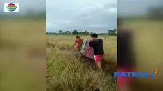 Empat warga yang tewas tersambar petir usai memanen padi di Bombana, Sulawesi Tenggara, dimakamkan hari ini.
