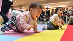 Sebuah majalah Jepang menggelar kompetisi 'Bayi Merangkak',  Yokohama, Jepang, Senin (23/11/2015). Para ibu menyambut antusias kompetisi tersebut dan mendaftarkan anaknya untuk ikut lomba. (AFP Photo/Kazuhiro Nogi)