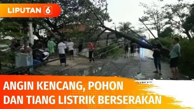 Inilah situasi setelah terjadinya terjangan angin kencang di Kabupaten Lamongan, Jawa Timur, pada Minggu (26/12) sore. Sejumlah pohon dan tiang listrik tumbang menutupi jalan, aliran listrik padam.