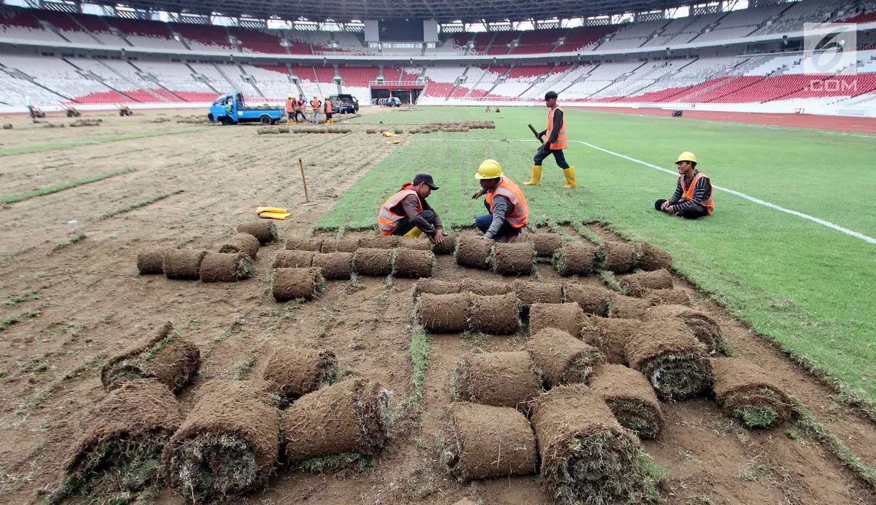 Pekerja menggulung rumput di Stadion Utama Gelora Bung Karno (SUGBK) untuk proses pemindahan ke area panahan, Jakarta, Jumat (18/5). Pemindahan rumput dalam pantauan ahli rumput dari IPB sehingga tidak akan ada kesalahan. (Liputan6.com/Johan Tallo)