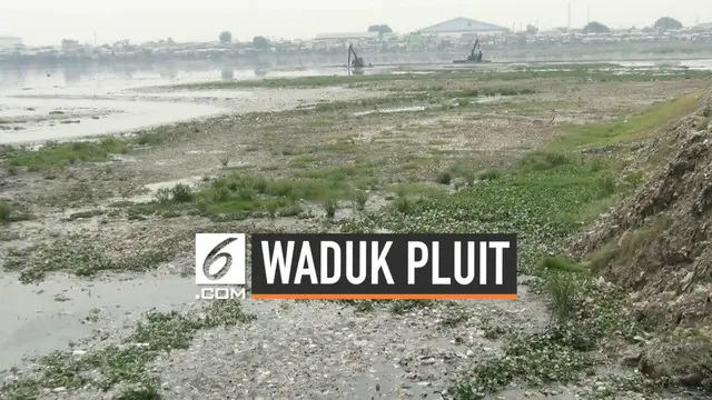 Waduk Pluit kini mengalami kondisi yang memprihatinkan. Waduk yang berada di Jakarta Utara ini mengalami pendangkalan karena dipenuhi sampah dan lumpur.