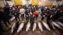 Pedagang grosir menghadiri lelang ikan tuga segar di Pasar Tsukiji di Tokyo (5/1). Seekor tuna sirip biru berukuran 892 pound (405 kilogram) telah terjual 36,5 juta yen (12,5 juta yen) $ 320.000) saat pelelangan tersebut. (AP Photo / Eugene Hoshiko)