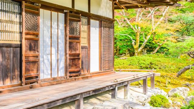 Model Rumah Terbaru 2025 dengan 1 Lantai Minimalis Sederhana