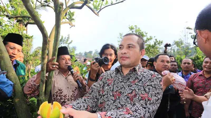 Menteri Marwan: Jeruk Selorejo Nggak Kalah Saing, Layak Diekspor 