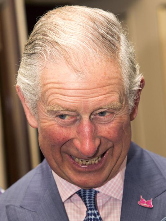 Ekspresi Pangeran Charles memotong kue bergambar bra saat menghadiri ulang tahun ke-20 Walk the Walk di Clarence House, London (23/11). Walk the Walk merupakan lembaga amal yang fokus terhadap pencegahan kanker payudara. (AFP PHOTO/POOL/Arthur Edwards)