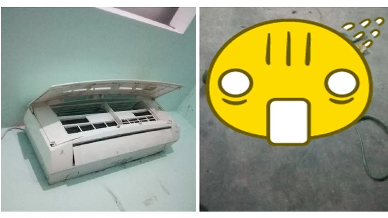 Dengar Suara Aneh dari Dalam AC, Pria Ini Temukan Hal Tak Terduga