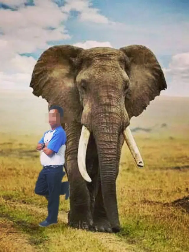 Editan Foto Bareng Hewan Buas Ini Justru Bikin Ketawa Geli