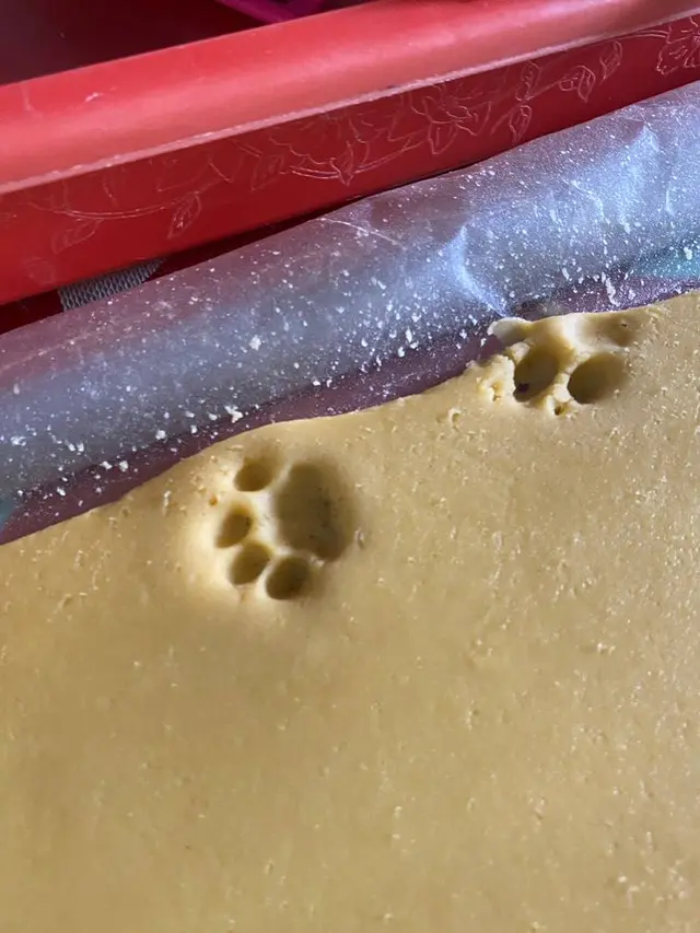 Cap Kaki Kucing, Ini 6 Potret Adonan Kue Lebaran yang Kinjak Ini Bikin Kesal