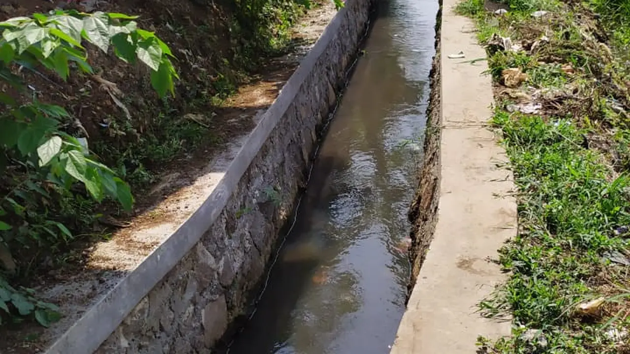 Kegiatan Rehabilitasi Jaringan Irigasi Tersier (RJIT) yang dilakukan Ditjen Prasarana dan Sarana Pertanian (PSP) Kementerian Pertanian di Cianjur Jawa Barat, berdampak positif.