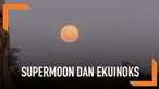 Dua fenomena menakjubkan mulai terlihat di langit Afrika. Fenomena tersebut adalah supermoon dan ekuinoks yang terjadi pada Kamis (21/09)
