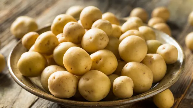 kentang kecil baby potato