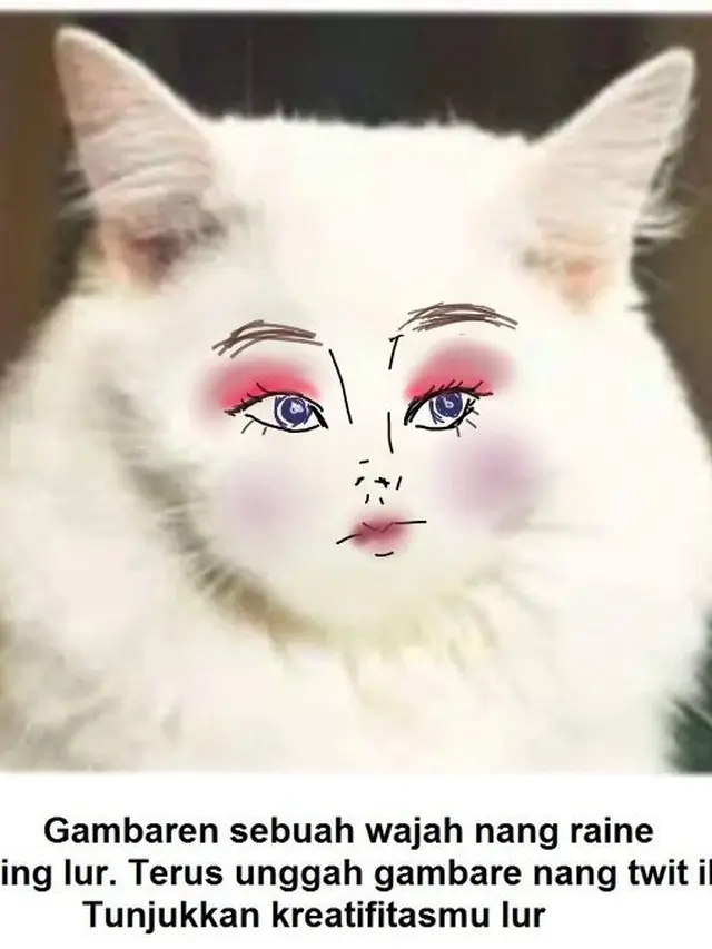 7 Hasil Kreativitas Netizen Menggambar Muka Pada Tubuh Kucing Ini Kocak